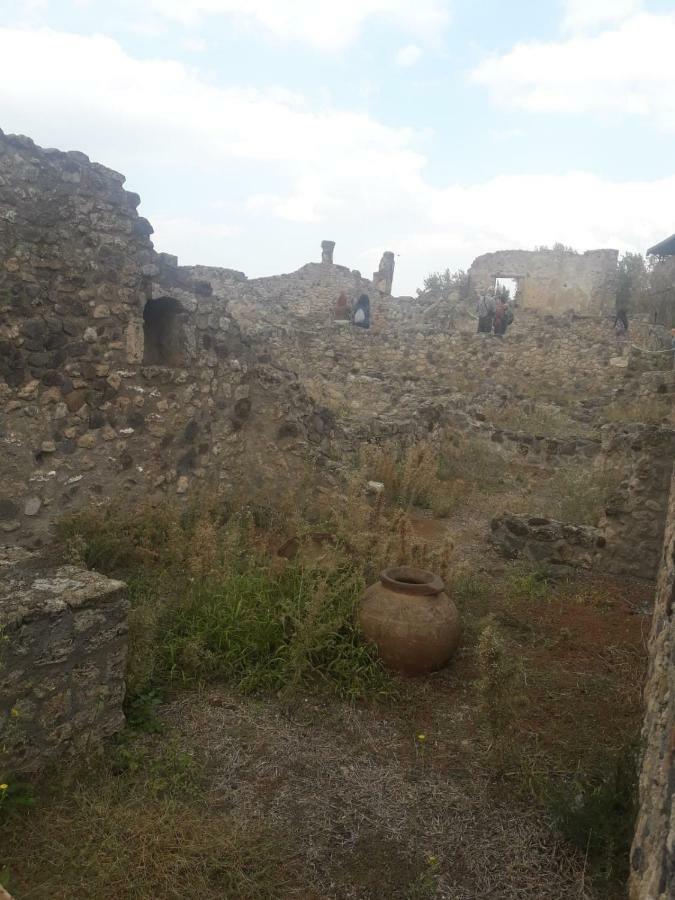 Rosy Monolocale Nel Centro Storico Di Torre Annunziata Di Fronte Scavi Oplonti Apartamento Exterior foto